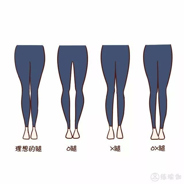 女人的颜值取决于骨盆,除了滋阴缓解痛经,它还能改善xo型腿_3