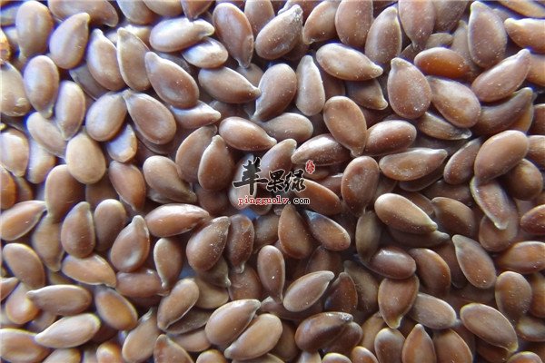 盘点胡麻籽和亚麻籽的区别_0