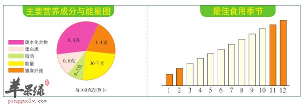 消灭癌细胞的"警察"——胡萝卜